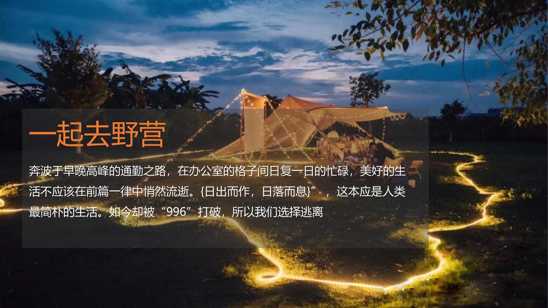 翼虎影视承办青年文化发展专题论坛